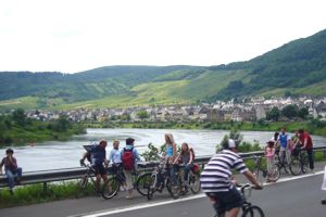 Radweg bei Bremm